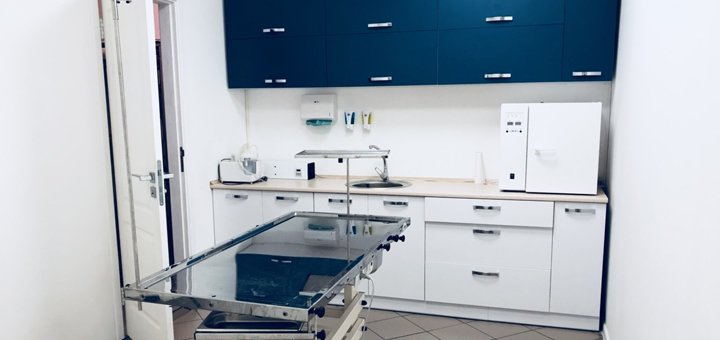 Surgical table at the AnimalClinic veterinary center in Kiev. Find out about the admission for the promotion.