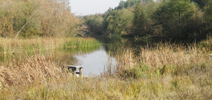 На території рибного господарства «Fishing & Park» на Росі. Плануйте відпочинок зі знижкою.