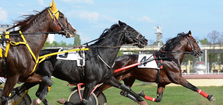 Betting in kiev