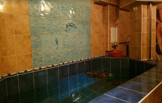 Знижка на відвідування сауни в білій церкві