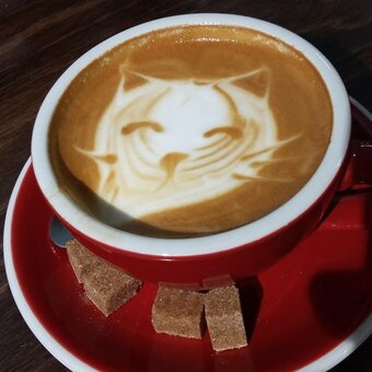 Coffee
