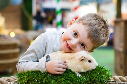 Zoo &quot;multizoo&quot; in zhytomyr. buy discounted tickets.