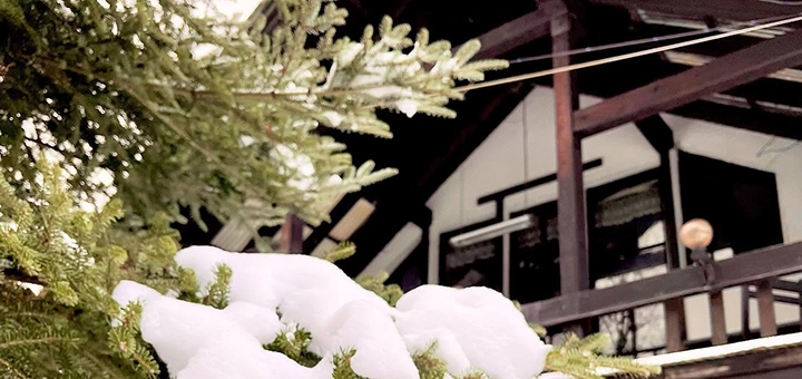 Мотель Святослав. Бронюйте номери за акцією 13