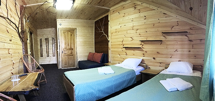 Alpine Eco Chalet & Wellness on Dragobrat. Book with promotion 15