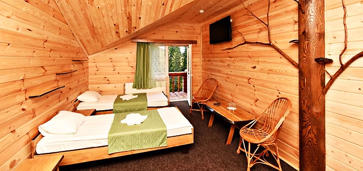 Alpine Eco Chalet & Wellness on Dragobrat. Book with promotion 27