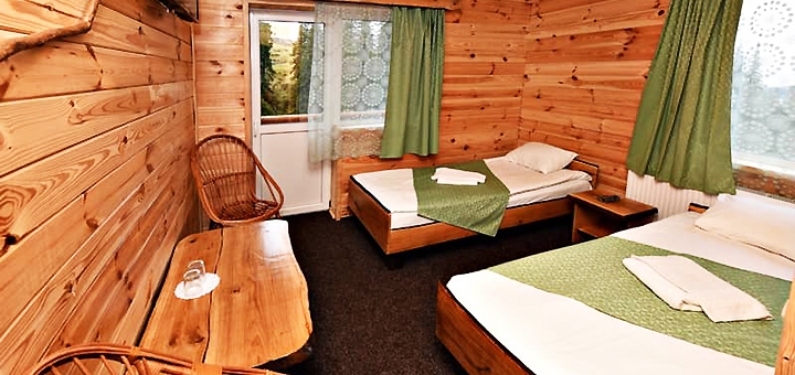 Alpine Eco Chalet & Wellness on Dragobrat. Book with promotion 28