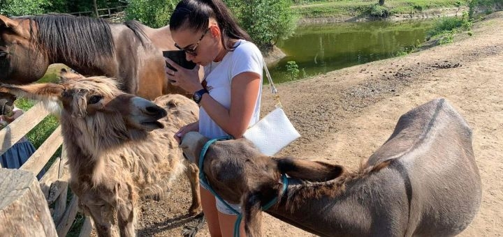 Osloff donkey farm near Kiev, discount on visiting