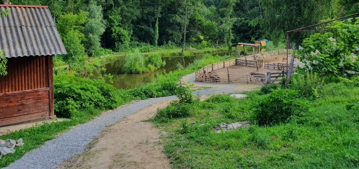 Donkey farm Osloff near Kyiv, territory