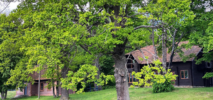 Rest in the eco-complex «Blue Lakes». Book at a discount 100