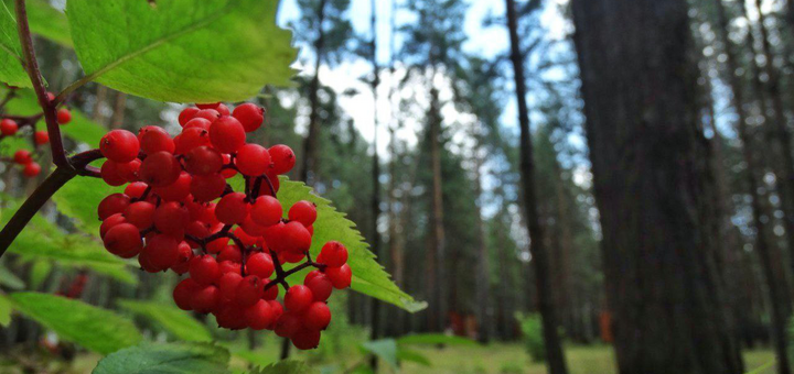 Комплекс отдыха У Маруси. Посещайте по акции 10