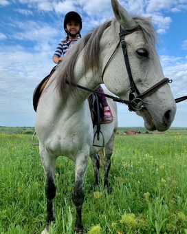 Конный клуб Horsecamp, прогулки на лошадях 3
