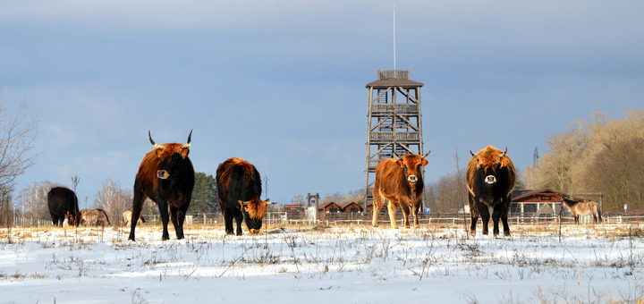 Beremitskoe Nature Park. Visit with the discount