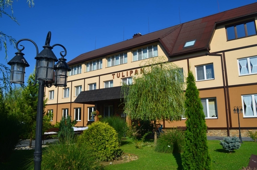 Hotel Tulip in Zakarpattia. Rest on the promotion 42