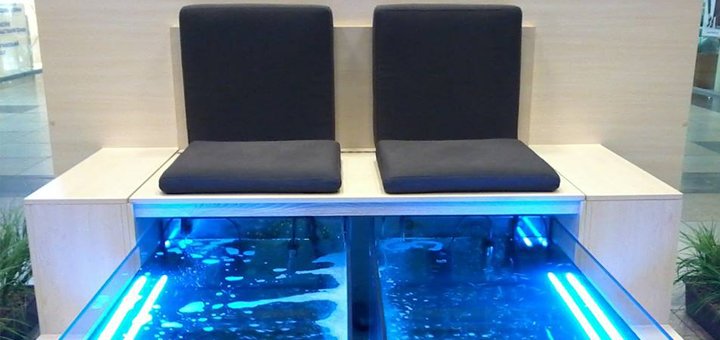 Peeling massage with fish &quot;doctor&quot; garra rufa, visit with a discount 1