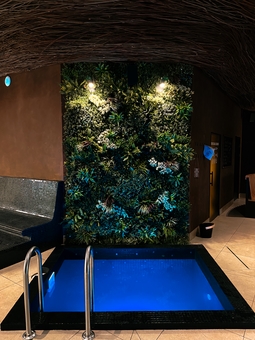 Starbath City SPA посещайте по акции 16