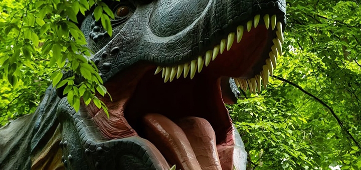 Shumiland Amusement Park. Visit with a special offer of 3