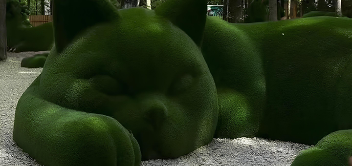 Shumiland Amusement Park. Visit with a 5% discount.