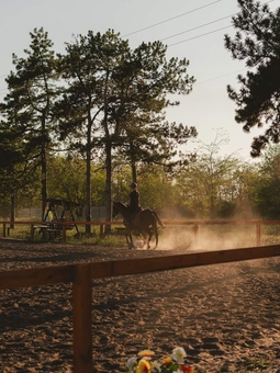 Demos Equestrian Club. Visit with a special offer of 13