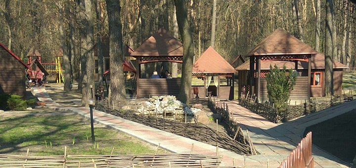 The best restaurant in Brovary - Mangal Park