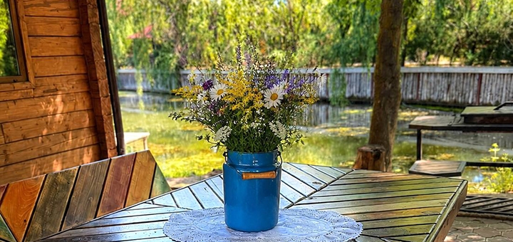 Guesthouse Pristan in the Odessa region. Visit with a 10% discount.