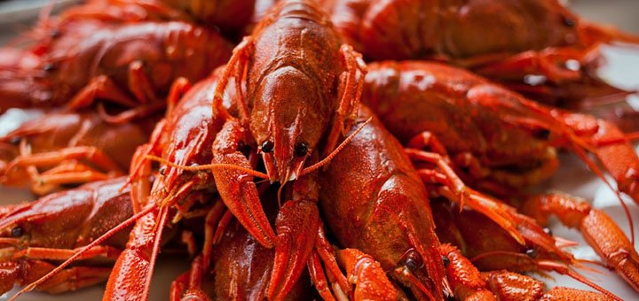 Delivery of boiled crayfish «Crayfish» across Kiev and Kiev region. Buy crayfish at a discount.