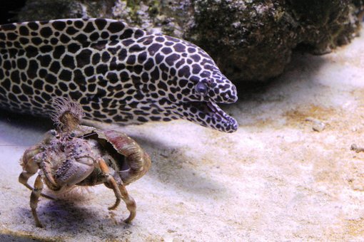 Посещайте на океанариум «Морская сказка» со скидкой