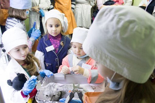 Master class for children in veterinary medicine at the Prokhvost clinic in Dnipro. Book a time for the promotion.