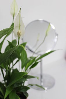 Medical cosmetology office IRIS Cosmo in Dnipro. With discount.