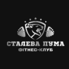 Steel Puma