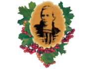 Гуманитарная гимназия имени Леси Украинки